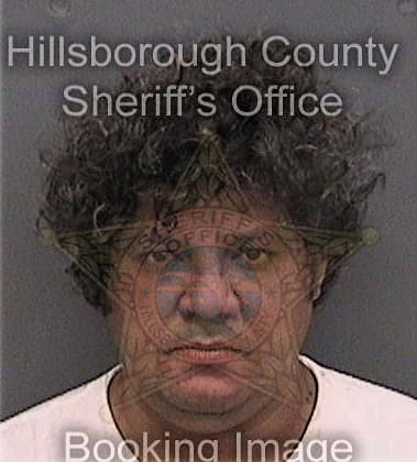 Modesto Torres, - Hillsborough County, FL 