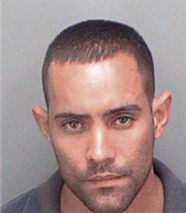 Juan Valladarescruz, - Pinellas County, FL 