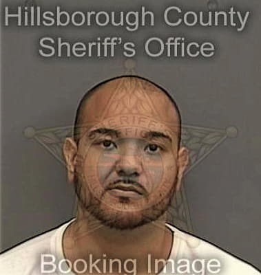 Julio Aquino-Mieses, - Hillsborough County, FL 