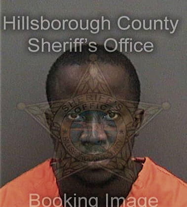 Reginald Bailey, - Hillsborough County, FL 