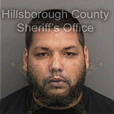 Bruce Bradshaw - Hillsborough County, FL 