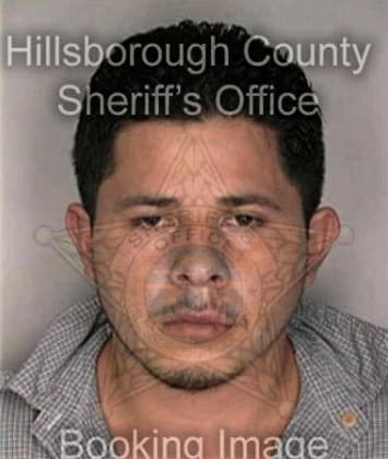 Miguel Dominguez, - Hillsborough County, FL 