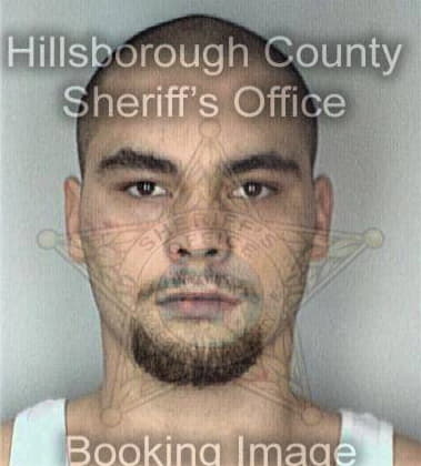 Percival Ferris, - Hillsborough County, FL 