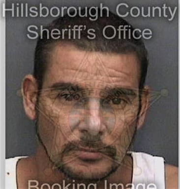 Manuel Flores, - Hillsborough County, FL 