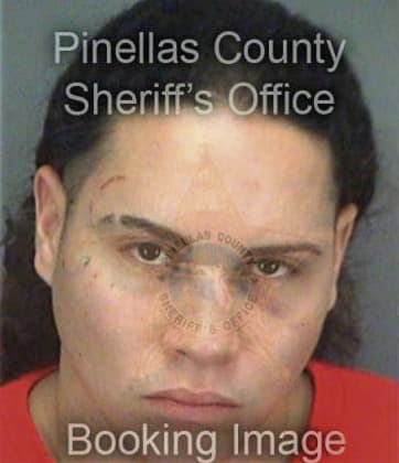 Oscar Garcia, - Pinellas County, FL 