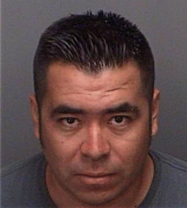 Miguel Hernandezserrano, - Pinellas County, FL 