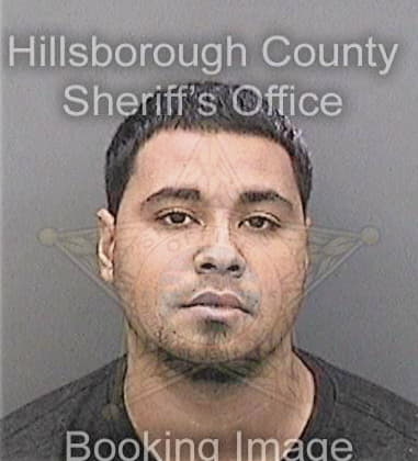 Jonathan Hicks - Hillsborough County, FL 