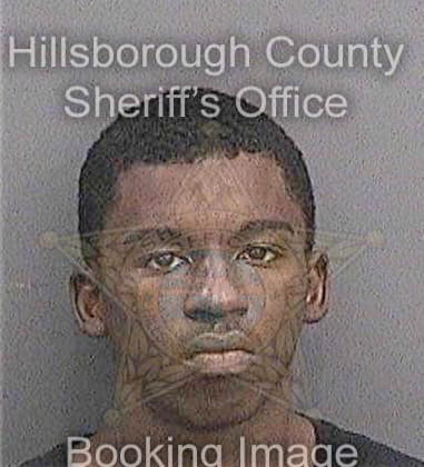 Eric Kingjohnson, - Hillsborough County, FL 