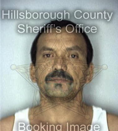 Jorge Maturana - Hillsborough County, FL 
