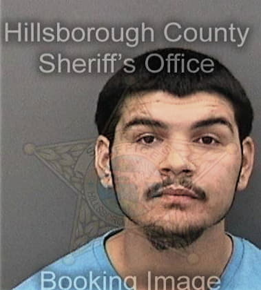 Cesar Pavon-Enamora, - Hillsborough County, FL 