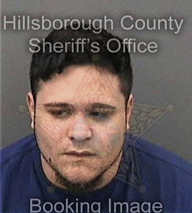 Stephen Snodgrass, - Hillsborough County, FL 