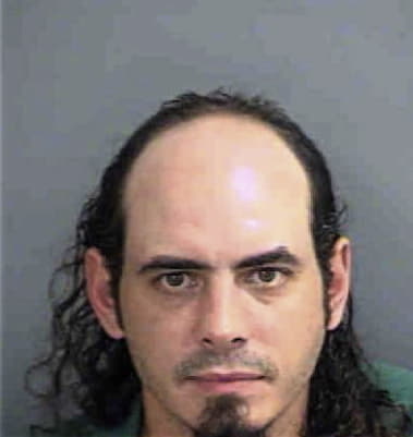 Diego Villhincapie, - Collier County, FL 