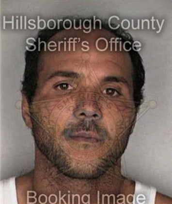 Ramon Baez, - Hillsborough County, FL 