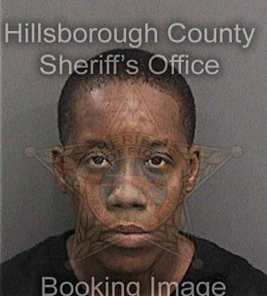 Annie Cole - Hillsborough County, FL 
