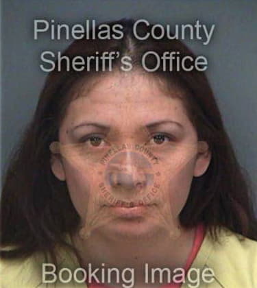 Paula Garciaperez, - Pinellas County, FL 