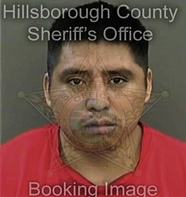 Victor Gutierrezlopez, - Hillsborough County, FL 