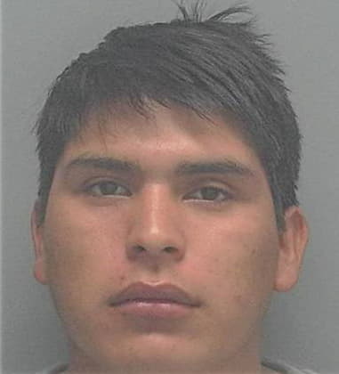 Juan Mateo-Gomez, - Lee County, FL 