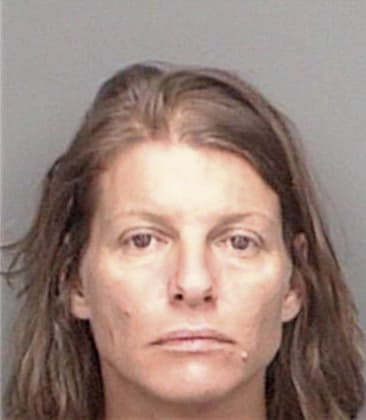 Lesley Smith - Pinellas County, FL 