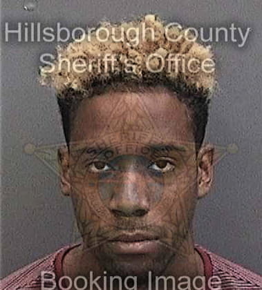 Anthony Tyson, - Hillsborough County, FL 