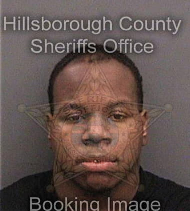 Arkadi Williams - Hillsborough County, FL 