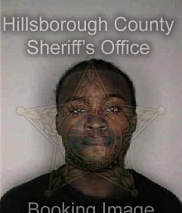 Raymond Brinson - Hillsborough County, FL 