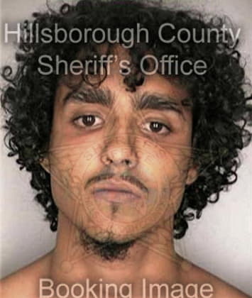 Pedro Estrada, - Hillsborough County, FL 