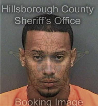 Erick Paganicarrion, - Hillsborough County, FL 