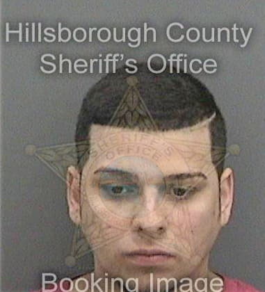 Gregory Powell, - Hillsborough County, FL 