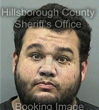 Timothy Stanley, - Hillsborough County, FL 