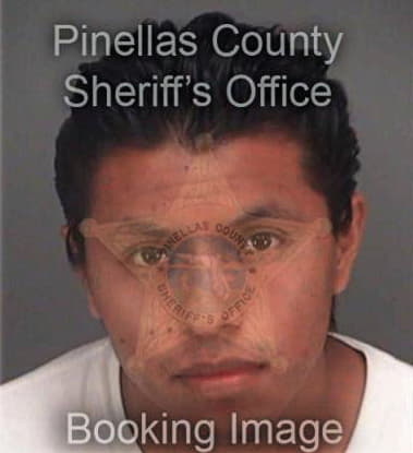 Koorbi Vasquez, - Pinellas County, FL 