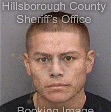 Enrique Vellon, - Hillsborough County, FL 