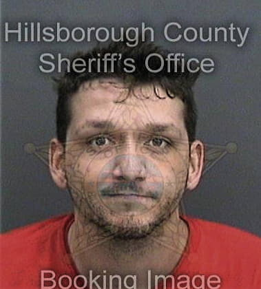 Ibrahim Bedaiwi, - Hillsborough County, FL 