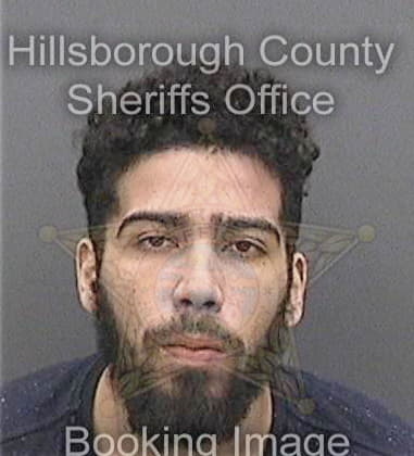 Osmany Martin, - Hillsborough County, FL 