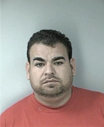 Bryan McNew - Hillsborough County, FL 