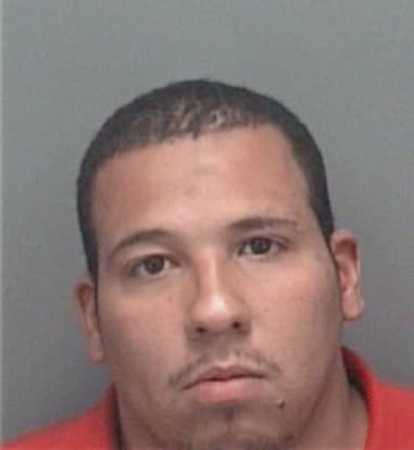 Luis Moro, - Pinellas County, FL 