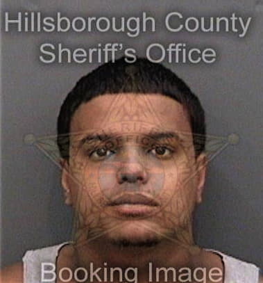 Rolando Pinon, - Hillsborough County, FL 