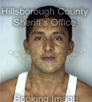 Constantino Quiroz, - Hillsborough County, FL 