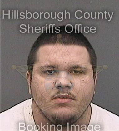 Jesus Anderson, - Hillsborough County, FL 