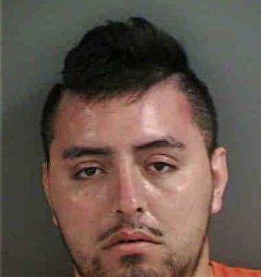 Andres Domingopedro, - Collier County, FL 