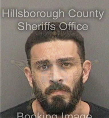 Anthony Garciachirinos, - Hillsborough County, FL 