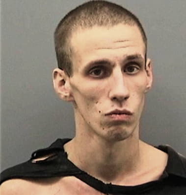 Mitchell Gritzinger, - Hillsborough County, FL 