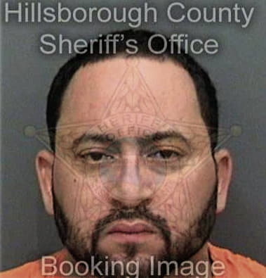 Endis Hernandezmedina - Hillsborough County, FL 