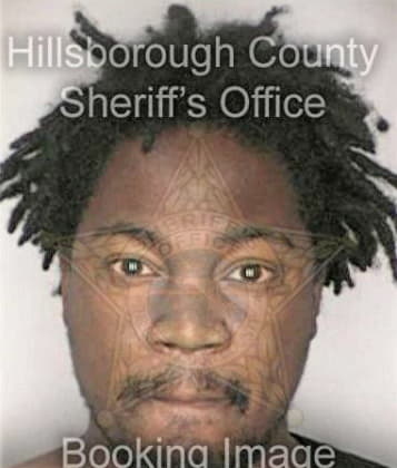 Michael Hunt, - Hillsborough County, FL 