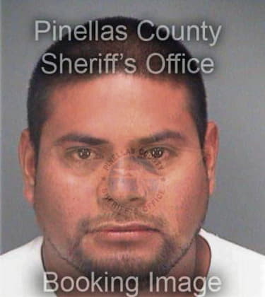 Richard Jones, - Pinellas County, FL 