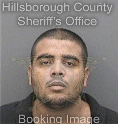 Robert Maine, - Hillsborough County, FL 