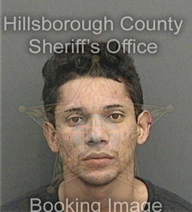 Michal Quetglez, - Hillsborough County, FL 