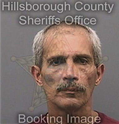 Brian Collins - Hillsborough County, FL 