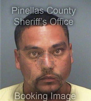 Miguel Gomezlopez, - Pinellas County, FL 