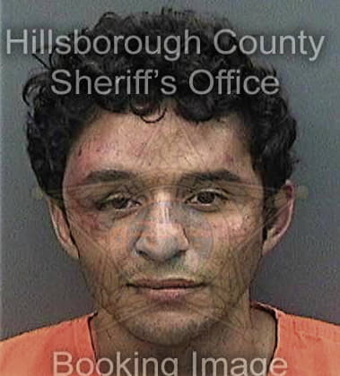 Willie Jones, - Hillsborough County, FL 