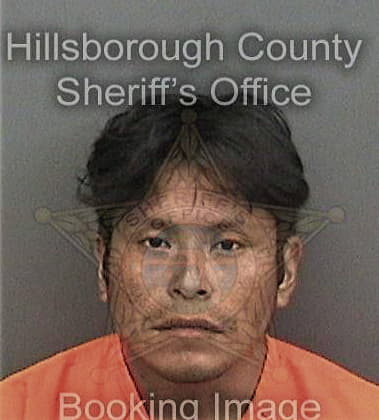 Nicolas Nieto, - Hillsborough County, FL 